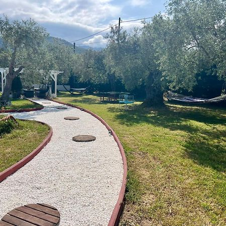 Fokas Luxury Villa Prínos エクステリア 写真