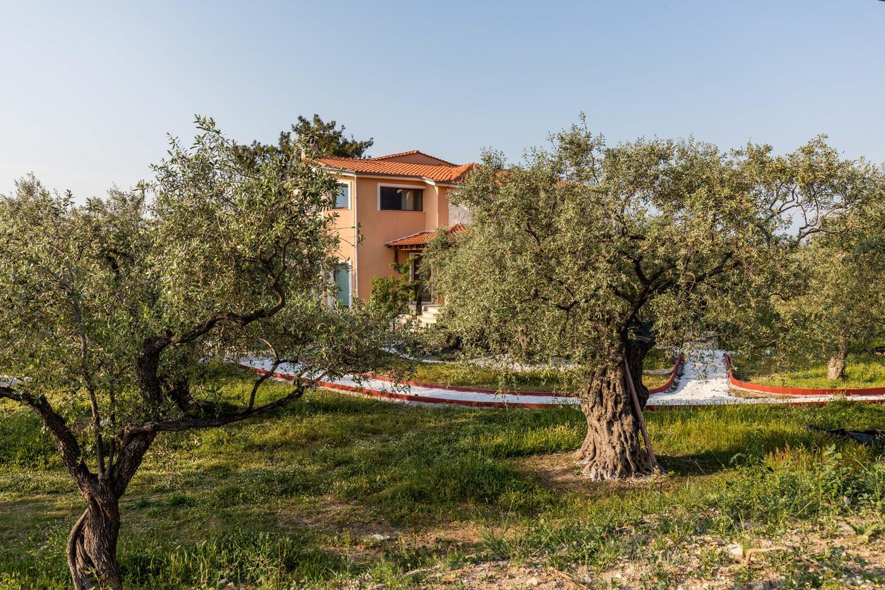 Fokas Luxury Villa Prínos エクステリア 写真