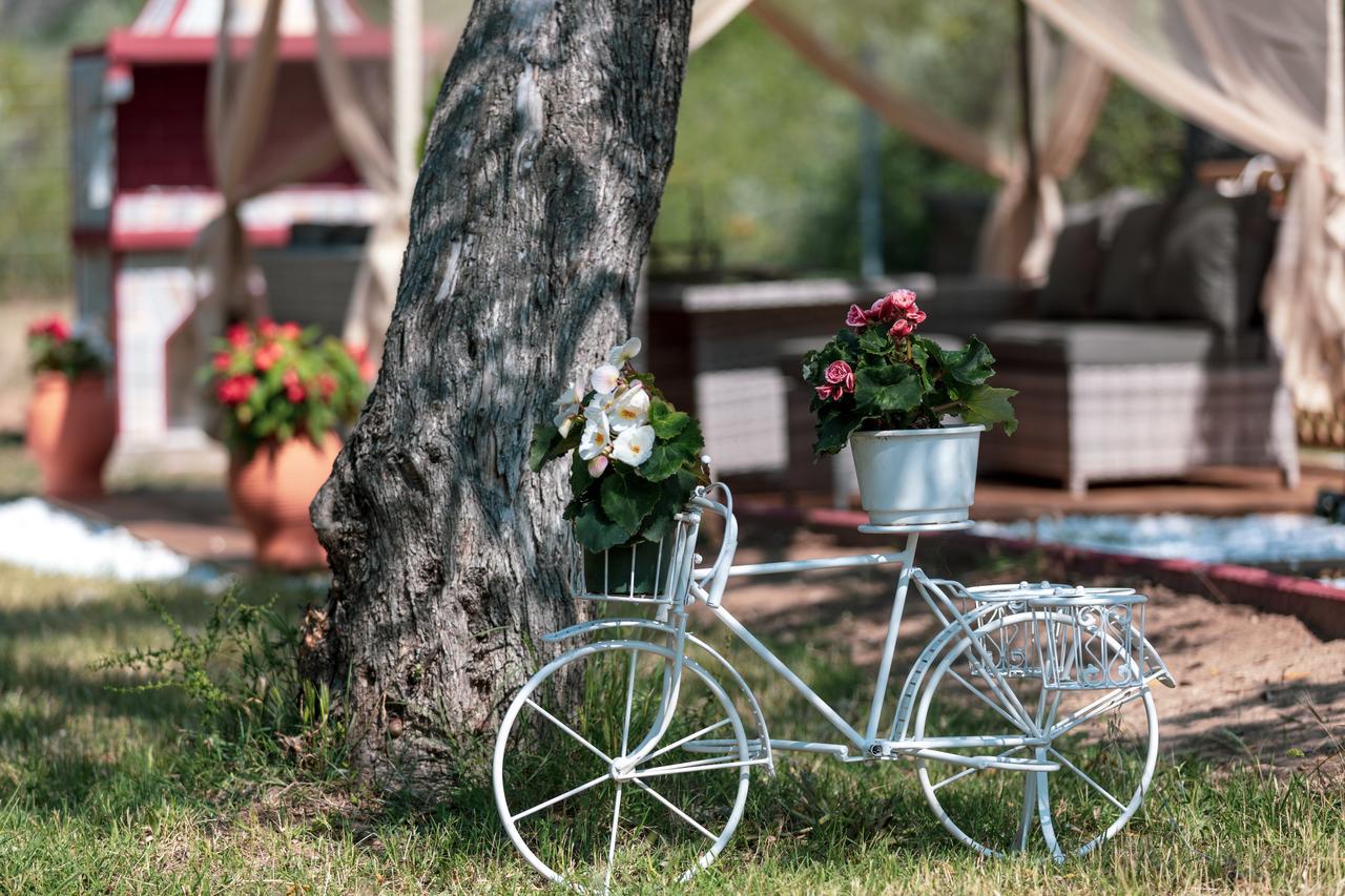 Fokas Luxury Villa Prínos エクステリア 写真